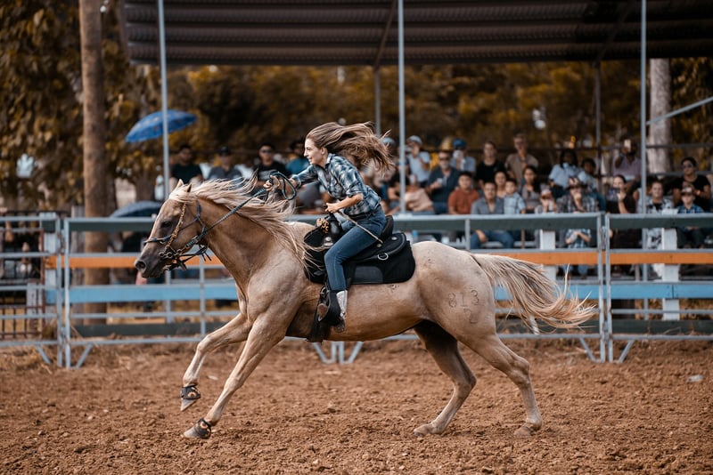 Wild West Adventure